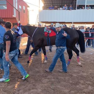 Meet your Posher, Benjamin